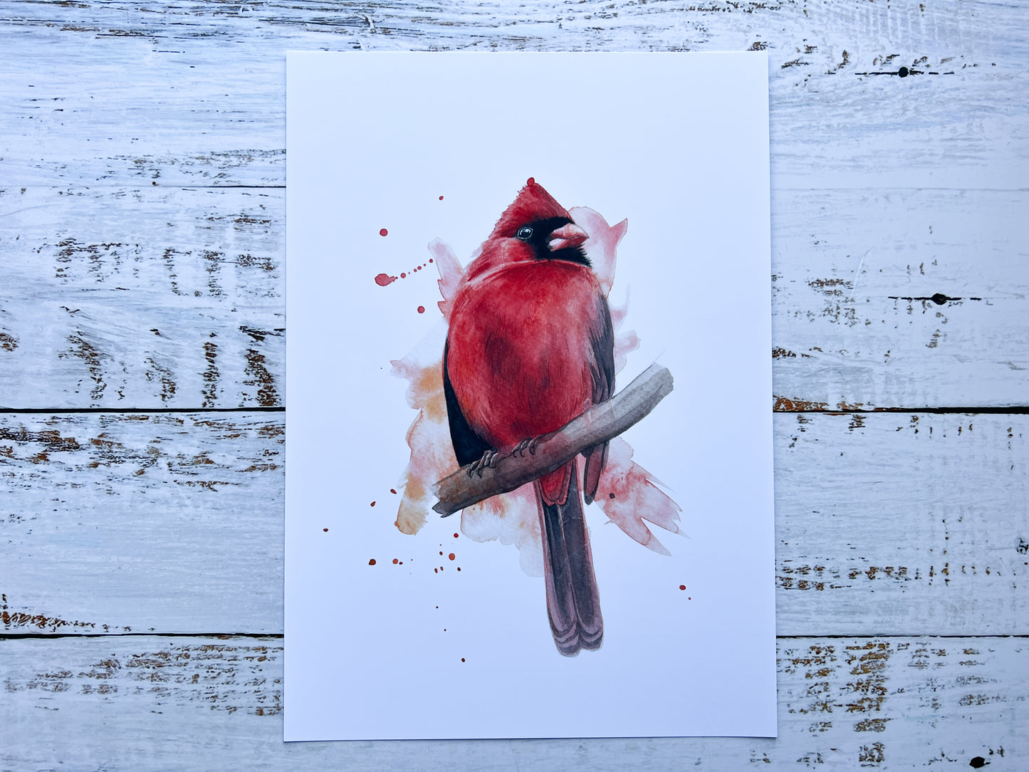 A watercolour print of a male cardinal bird, painted in an expressive way