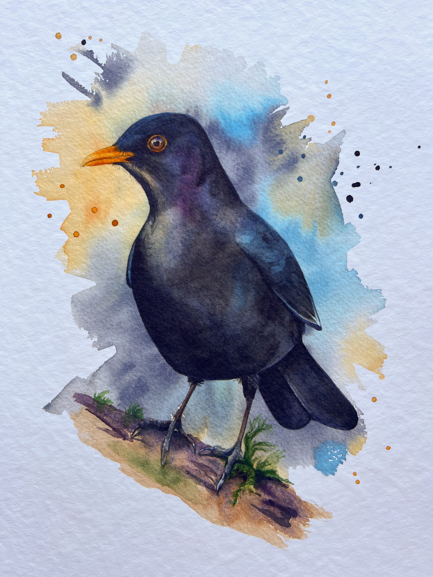 This is a watercolour print of a Eurasian Blackbird, painted in an expressive way.