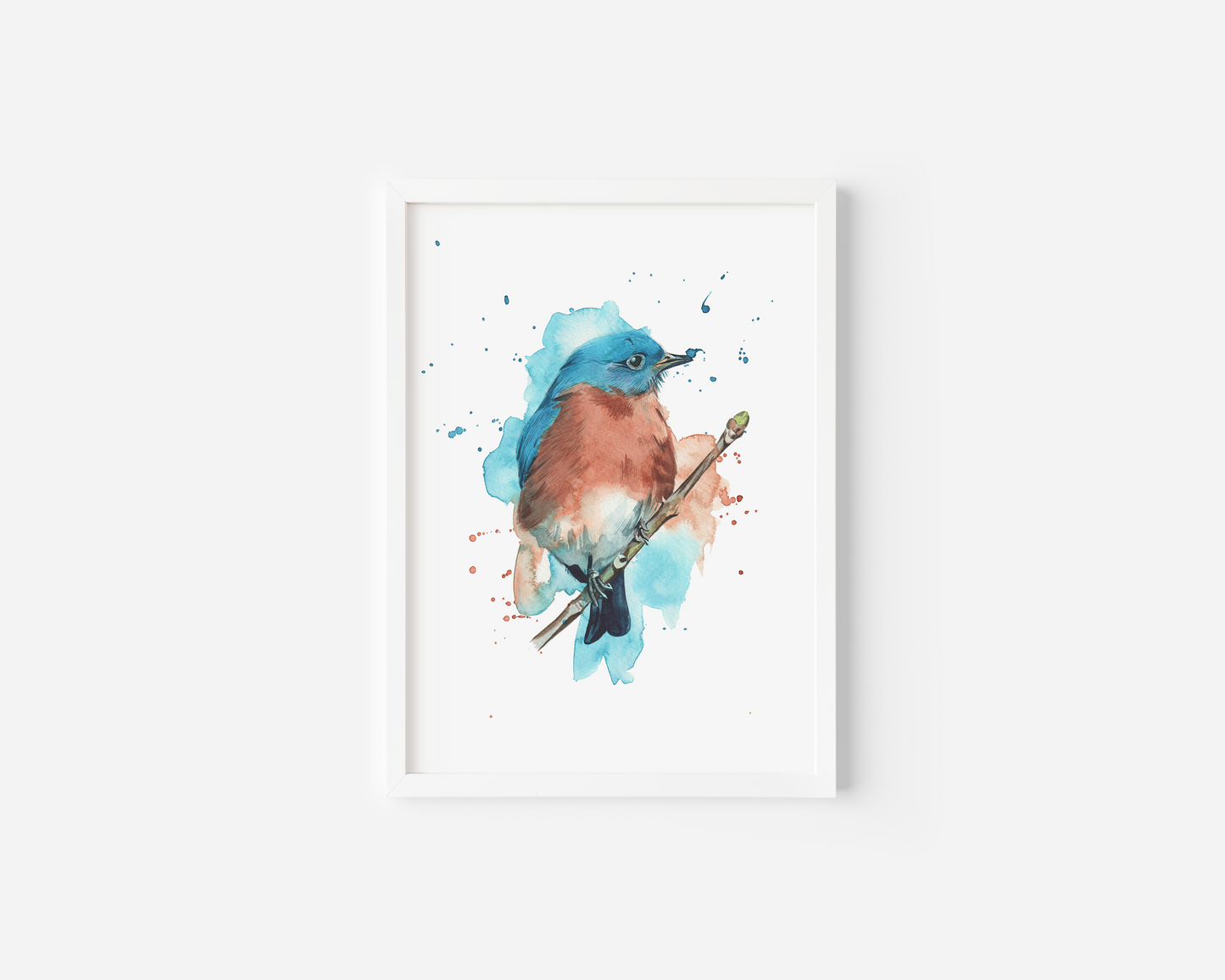 This is a watercolour print of an eastern bluebird, painted in watercolours in an expressive style, complete with watercolour splashes.