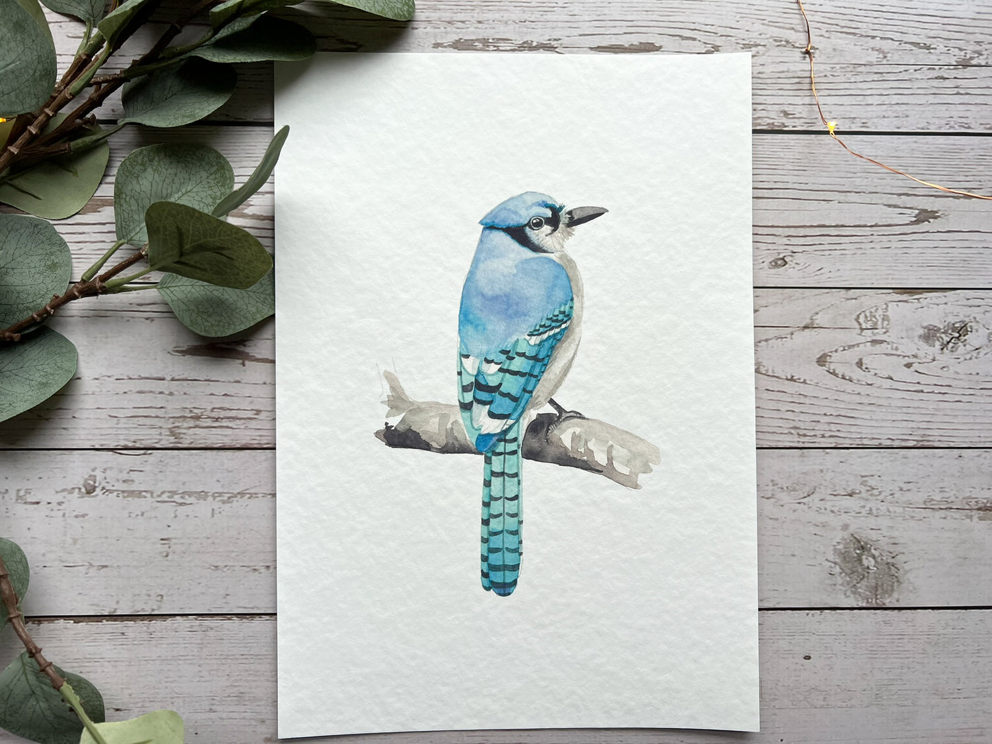 A watercolour print of an American blue jay bird.