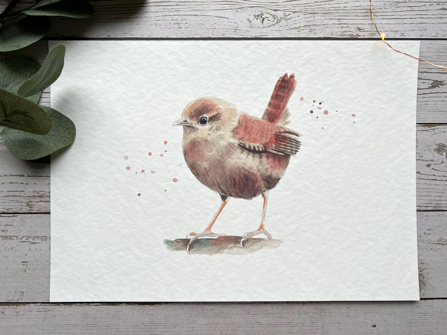 A watercolour print of a British Wren