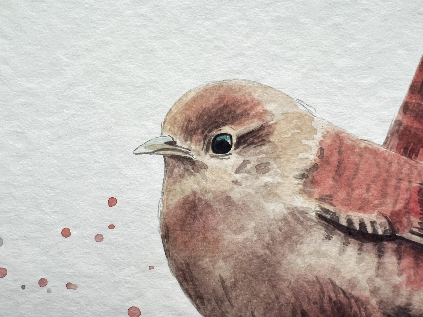 A close up of a watercolour print of a Wren