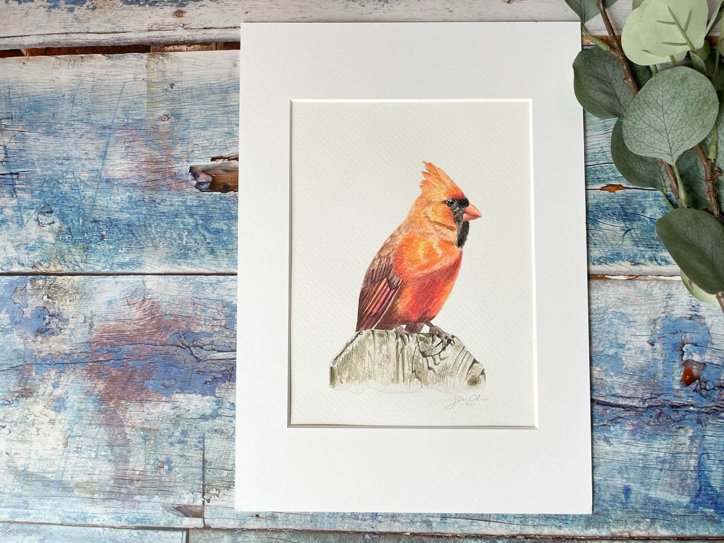 An original mounted watercolour painting of a cardinal bird