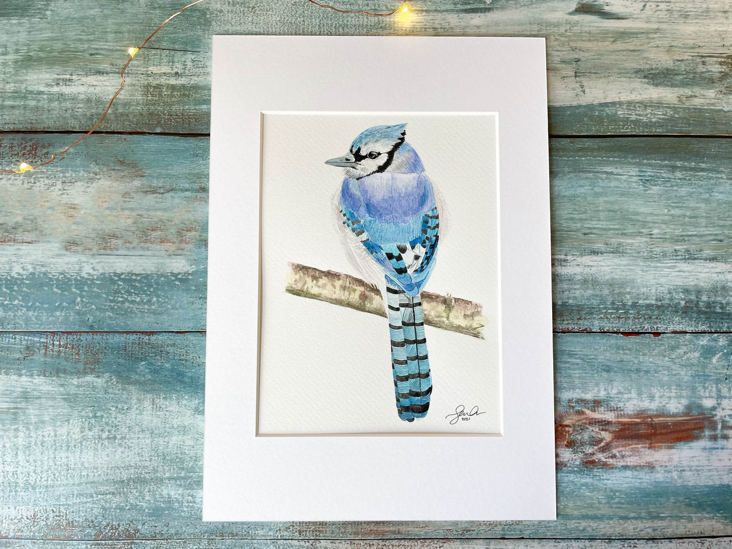 An original mounted watercolour painting of a blue jay