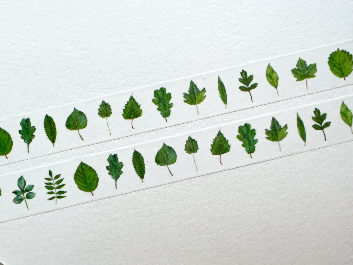 A close up of washi tape with watercolour green leaves all over