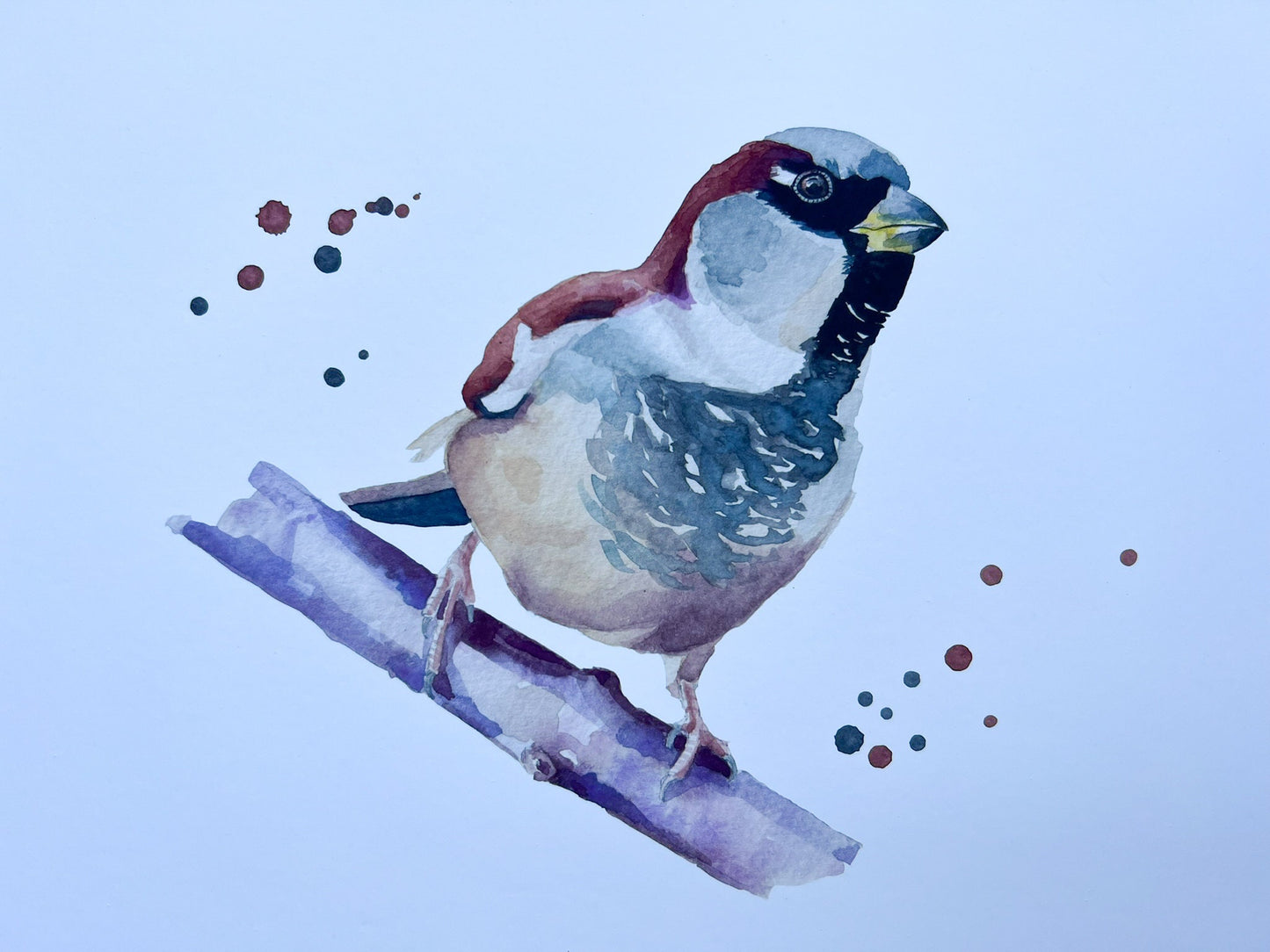 A close up of A watercolour print of a house sparrow on a branch with splashes of watercolour around it