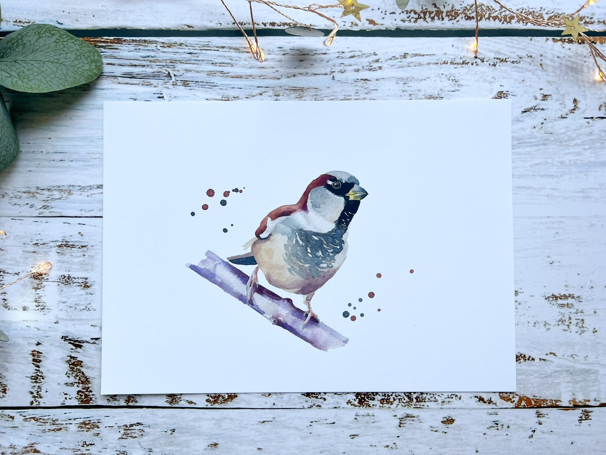 A watercolour print of a house sparrow on a branch with splashes of watercolour around it