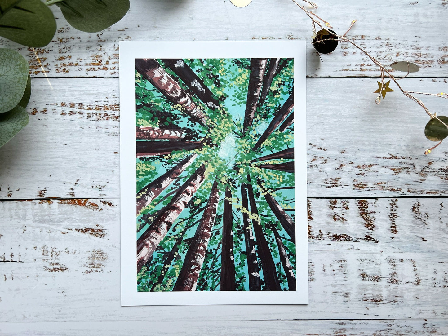 A gouache print of Californian redwood trees from the perspective of standing on the ground and looking up at the sky