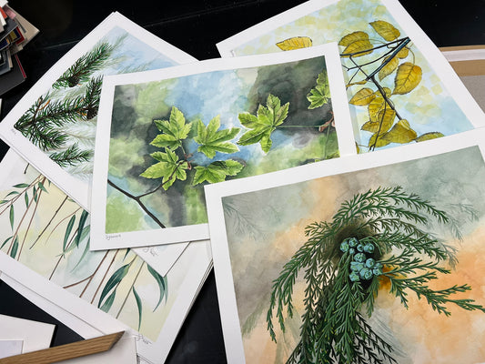 A collection of A3 watercolour paintings scattered across a table