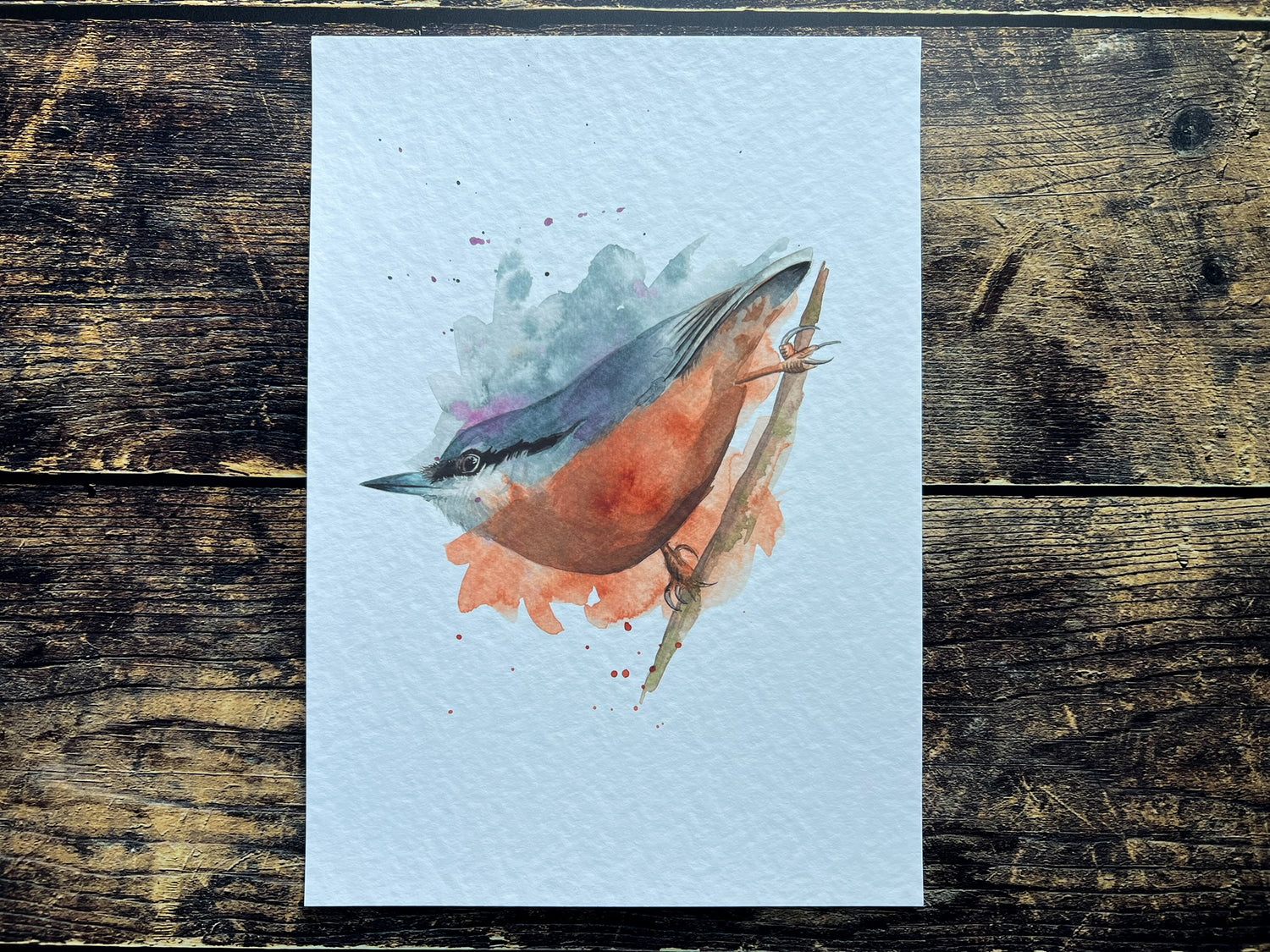 Expressive birds