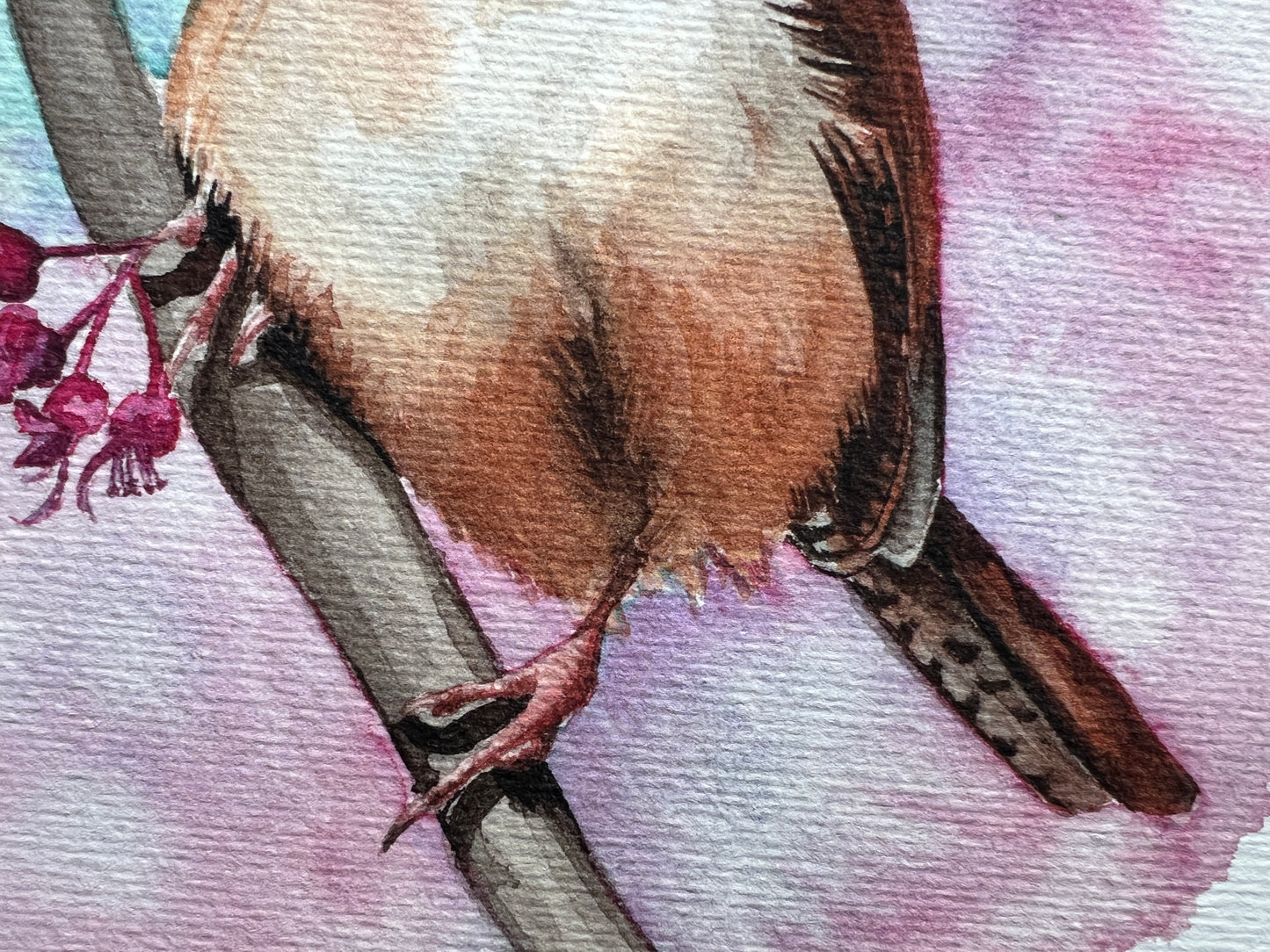 Carolina Wren A4 art print