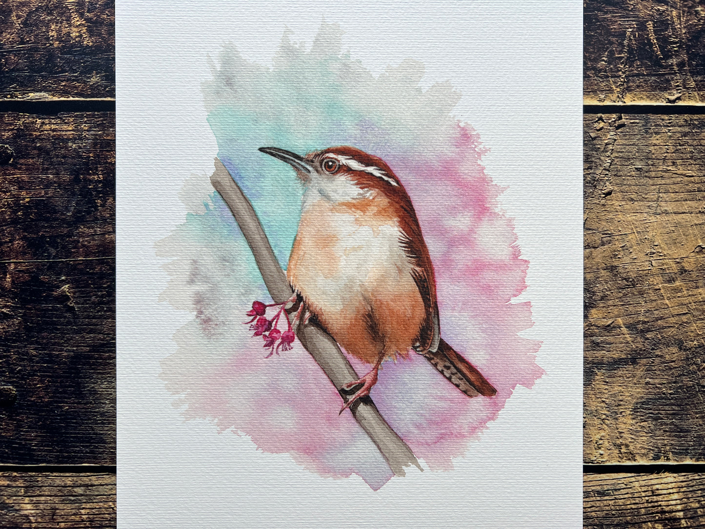 Carolina Wren A4 art print