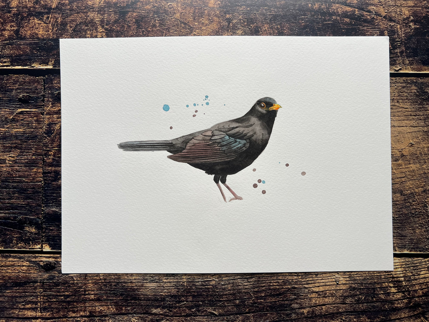 A watercolour painting of a blackbird