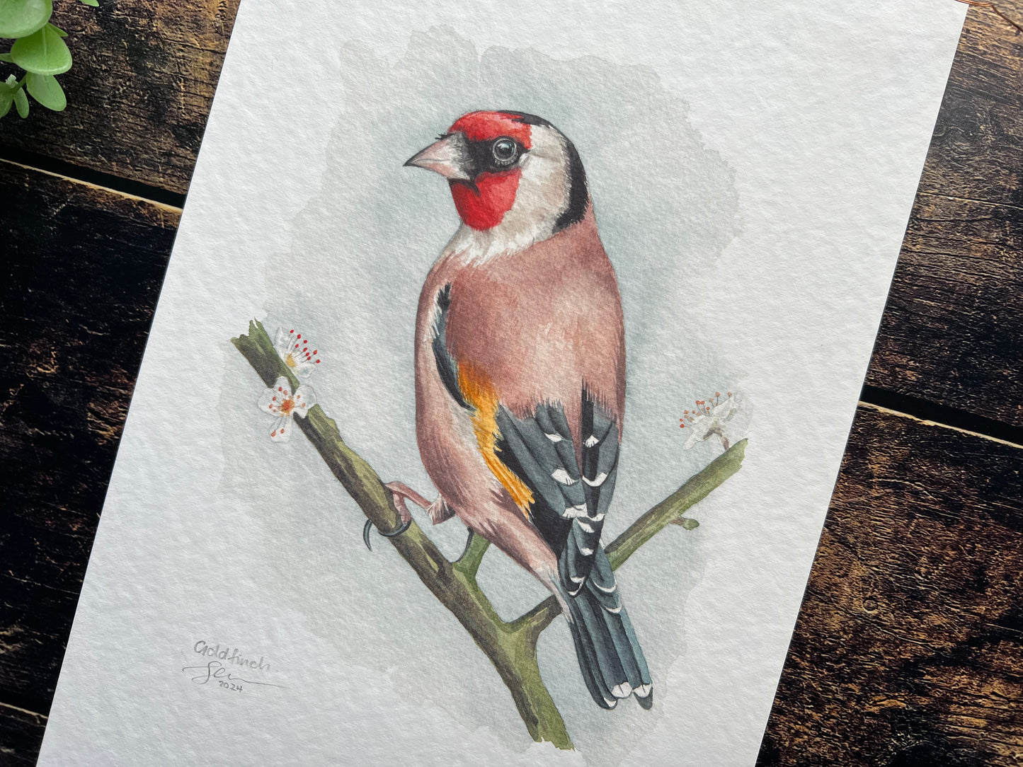 Goldfinch on blossom A4 print