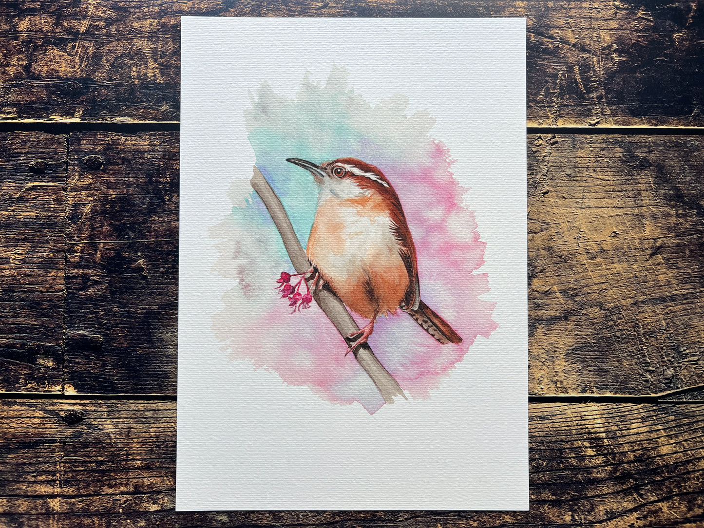 Carolina Wren A4 art print