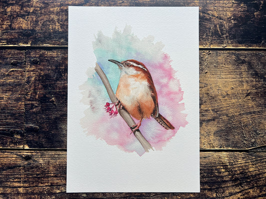 California Wren art print