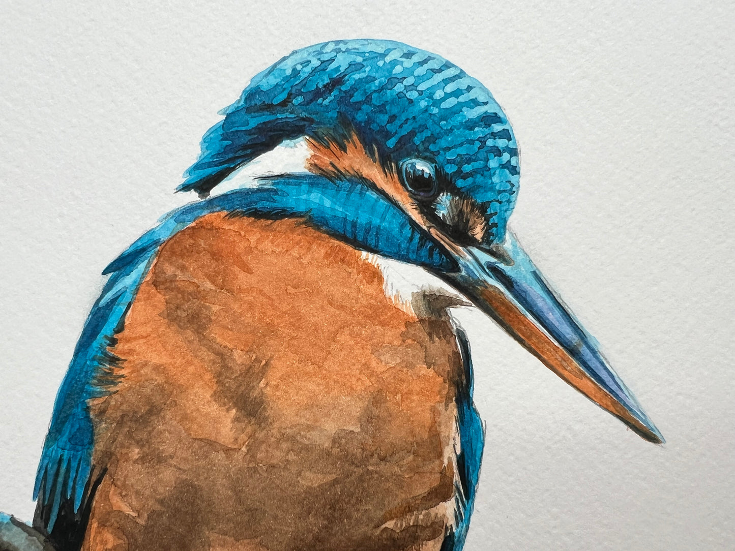 A close up of An A4 watercolour painting of a kingfisher on a perch.