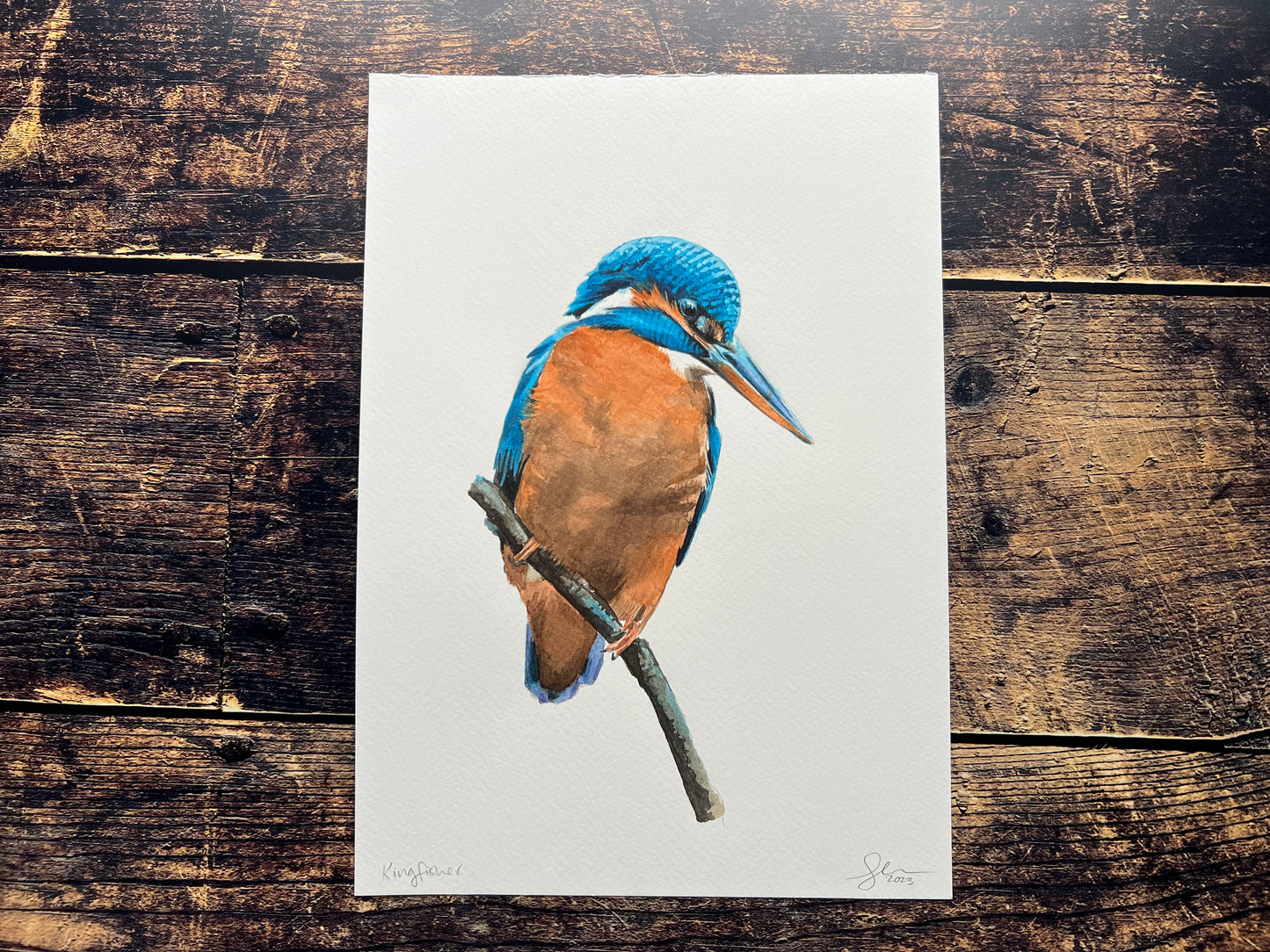 An A4 watercolour painting of a kingfisher on a perch.