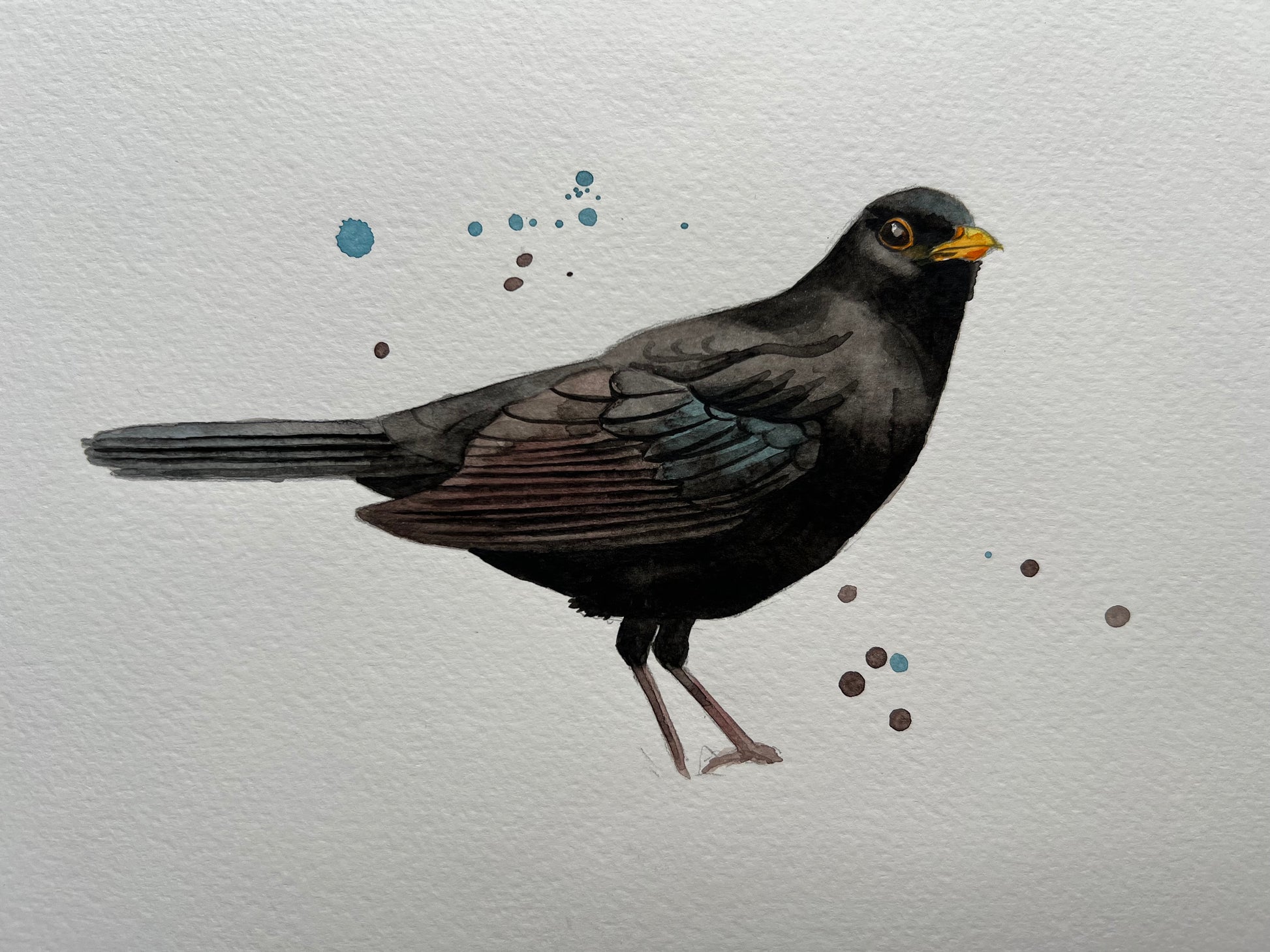 A watercolour painting of a blackbird