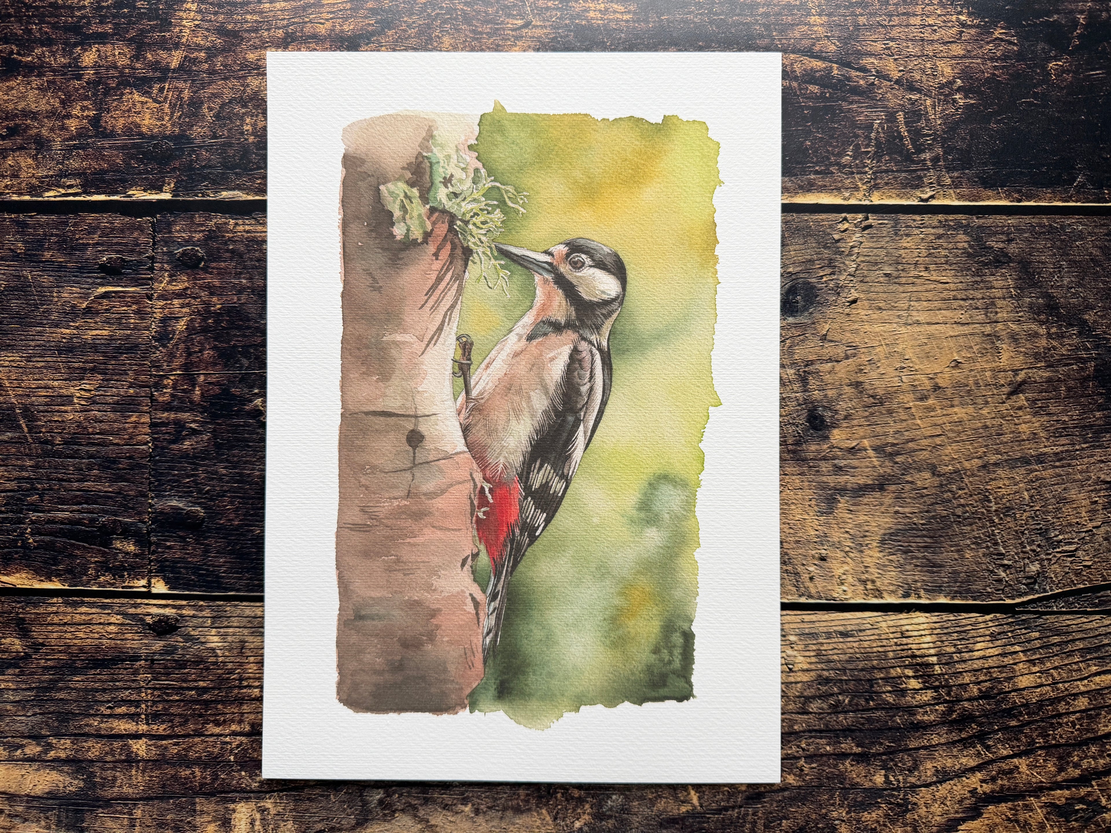 A watercolour print of a great spotted woodpecker holding onto a tree