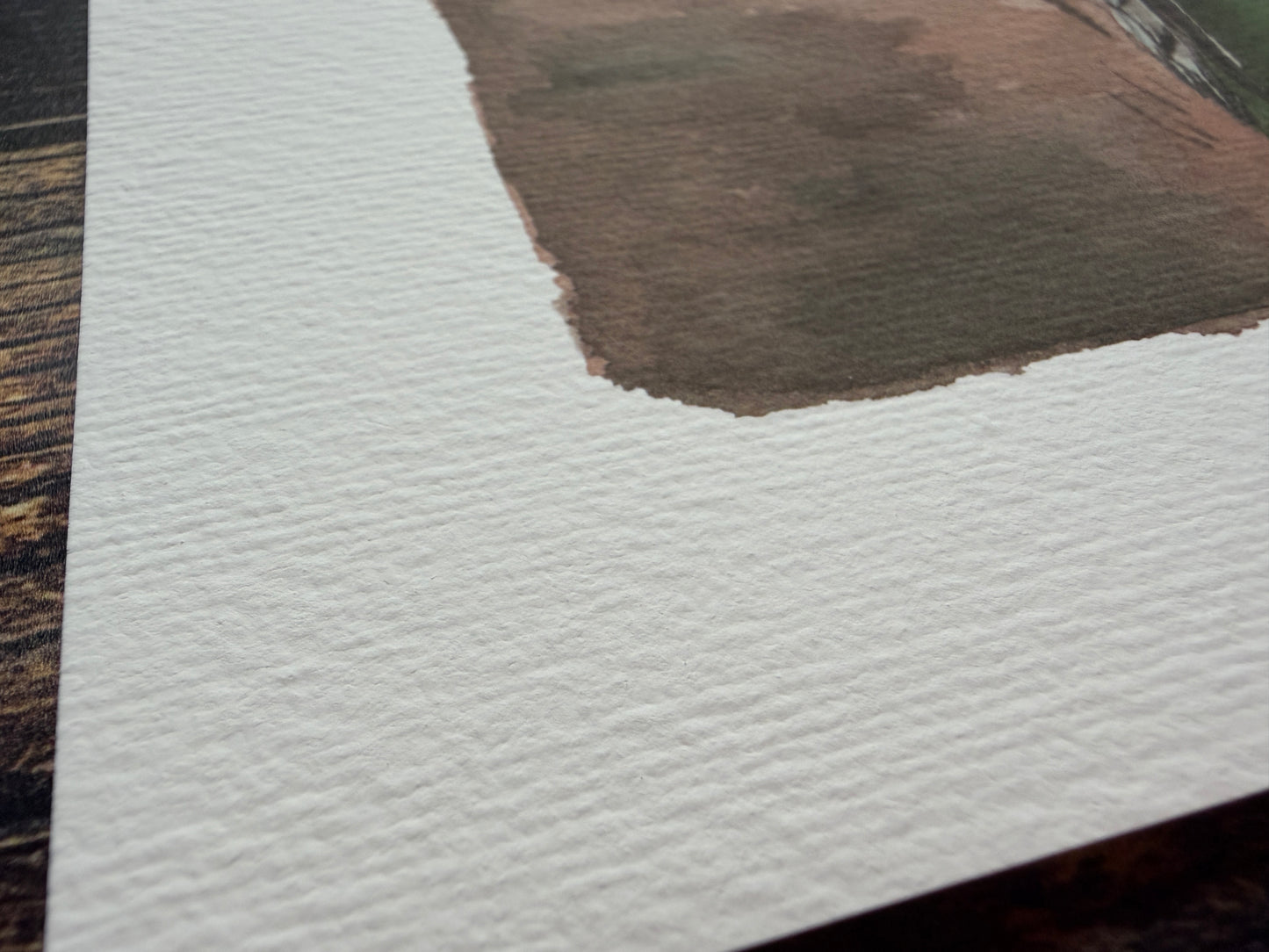 A watercolour print of a great spotted woodpecker holding onto a tree