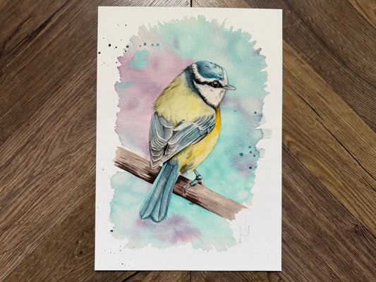 A watercolour print of a blue tit