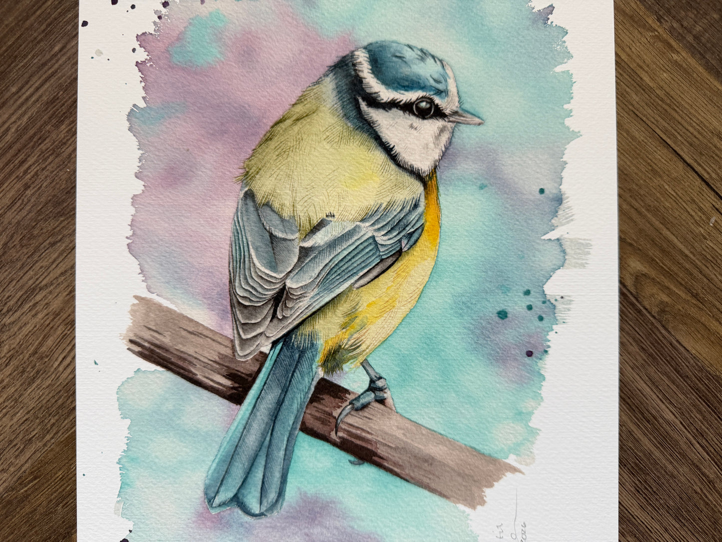 A watercolour print of a blue tit