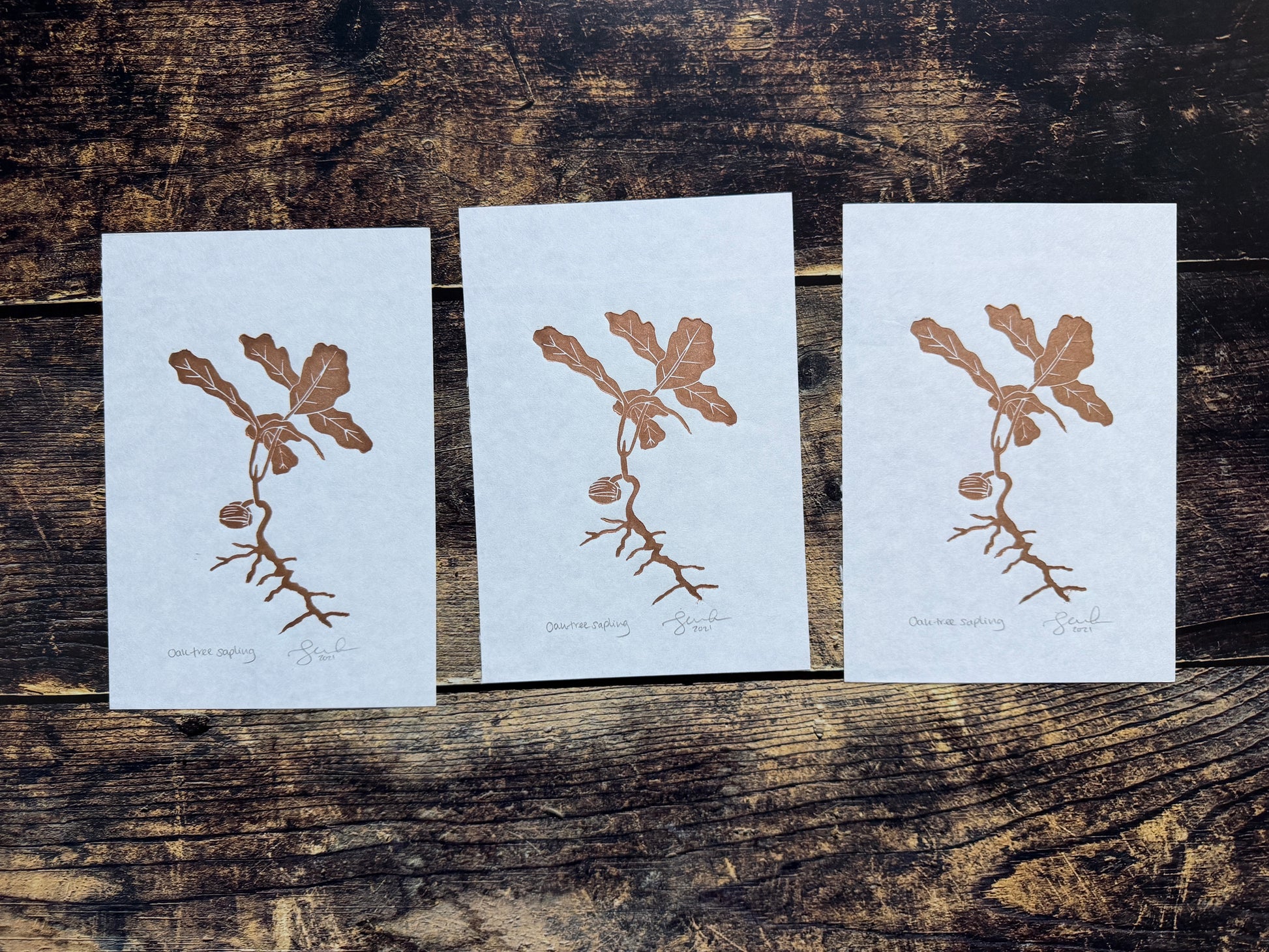 A photograph of 3 gold oak tree sapling lino prints