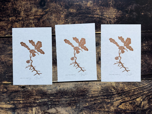 A photograph of 3 gold oak tree sapling lino prints