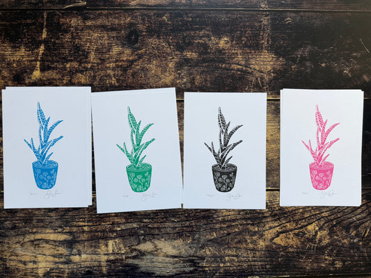 A photo of A5 lino prints of an Aloe plant in a plant pot in various colours (blue, green, black and pink)
