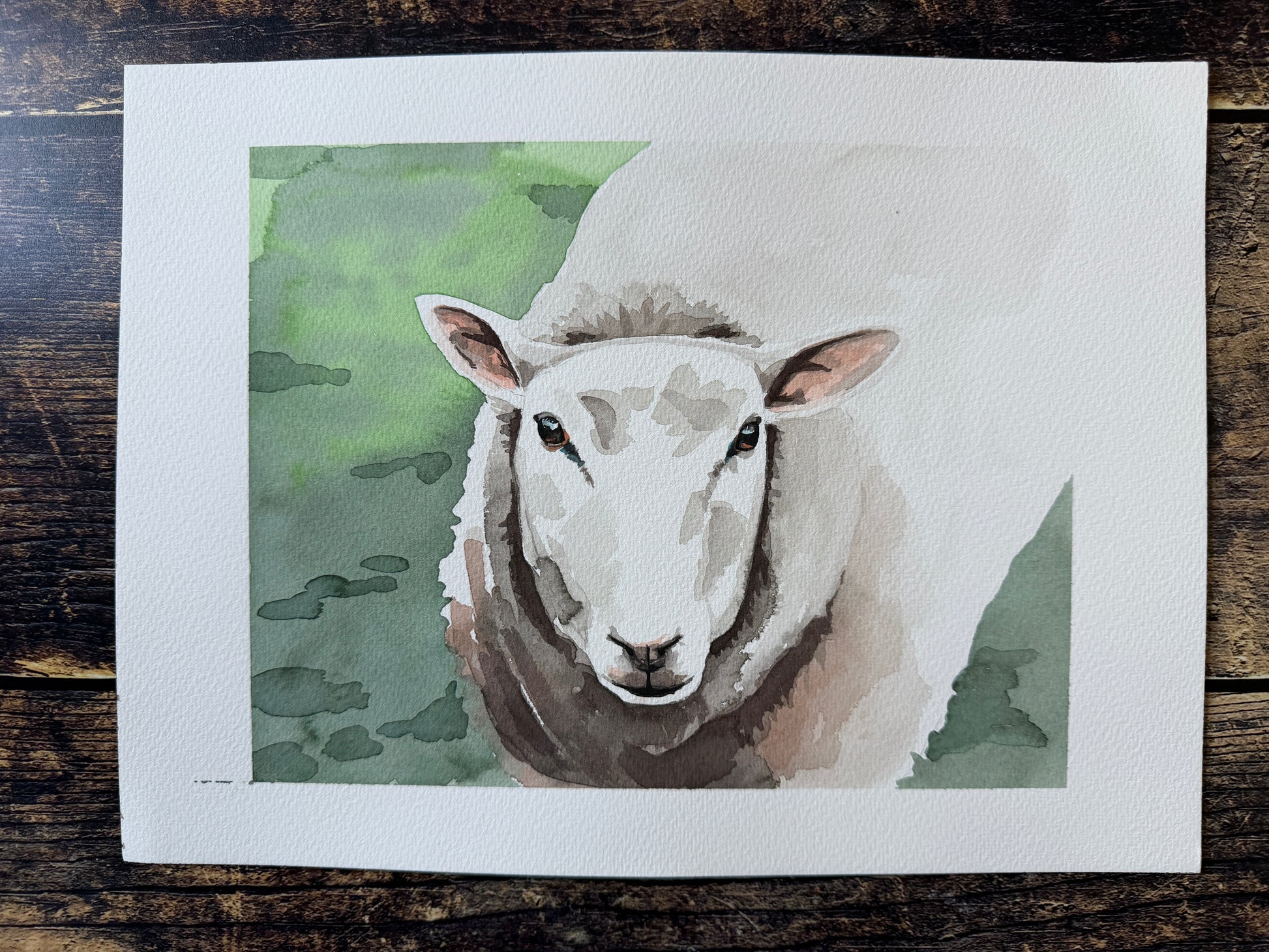 A watercolour painting of a sheep