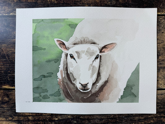 A watercolour painting of a sheep