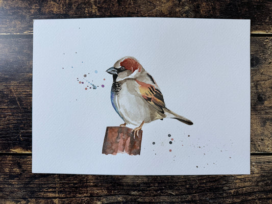 An original watercolour painting of a house sparrow