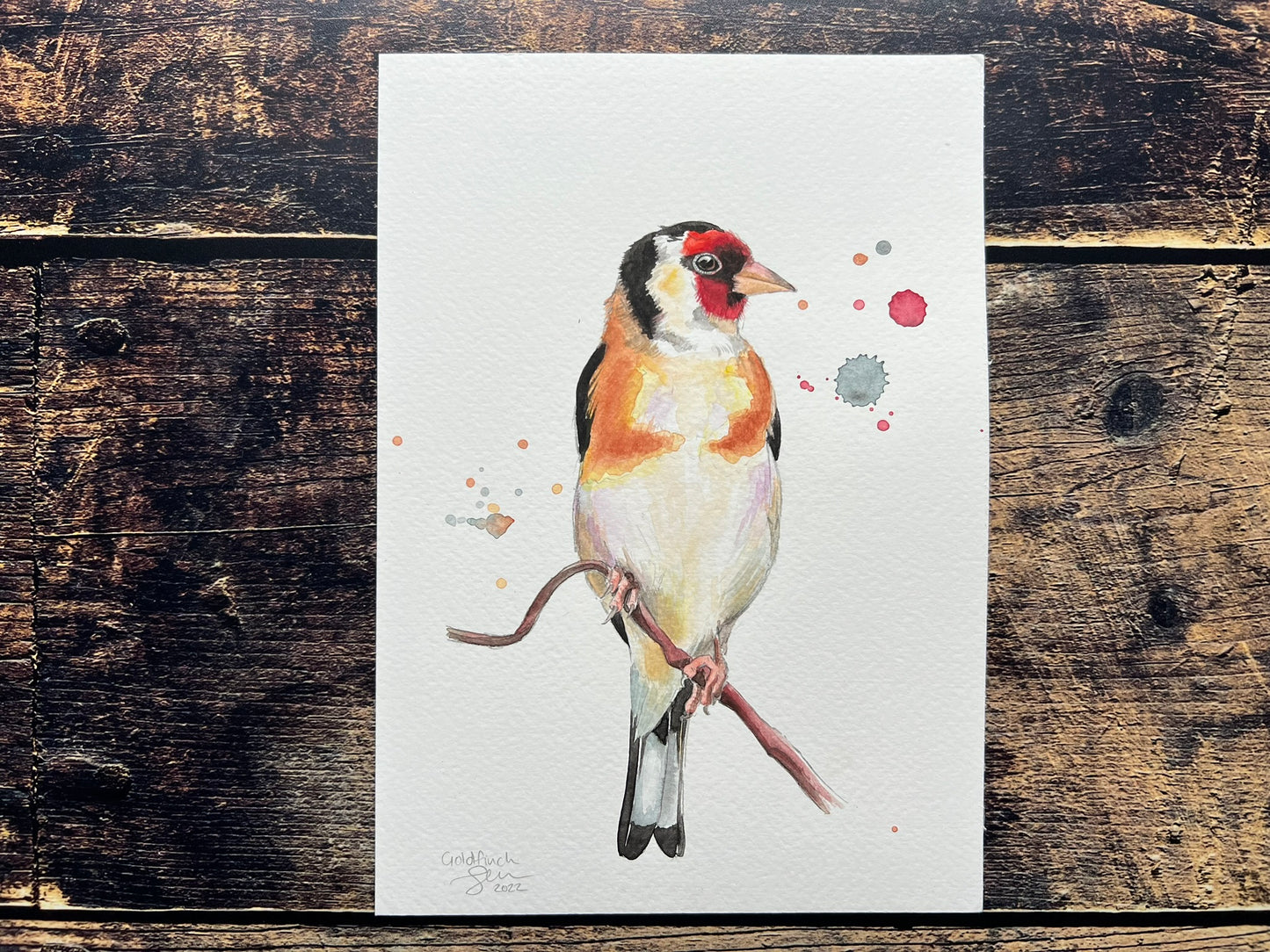 Goldfinch on a branch - A5 with splashes