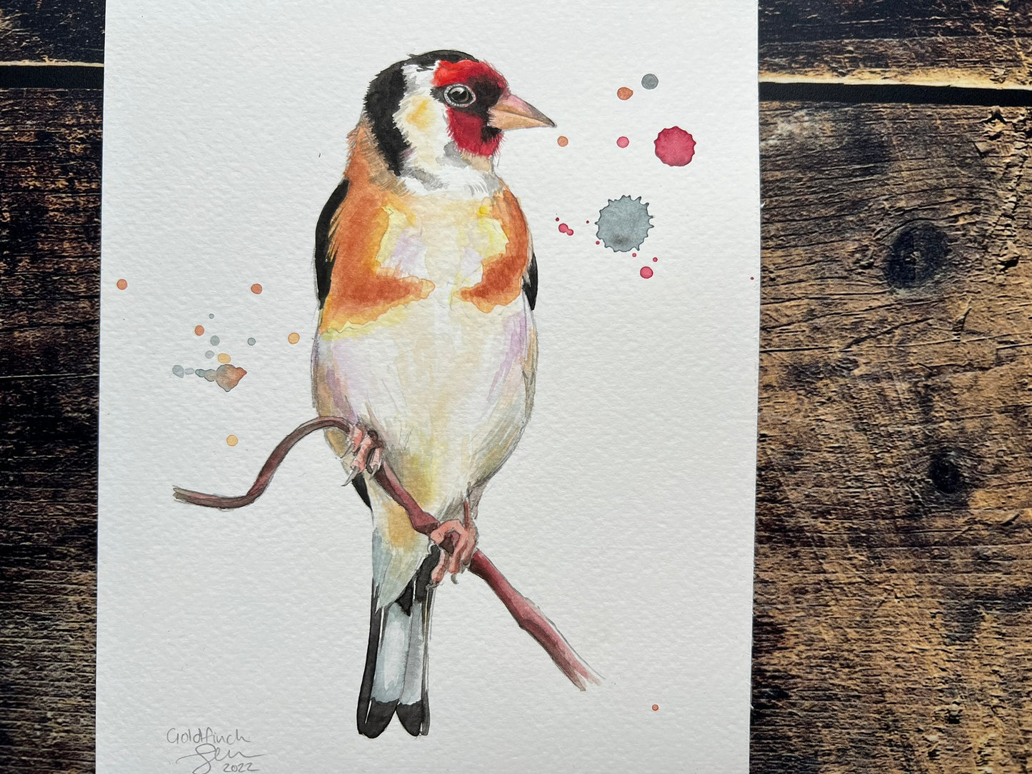 Goldfinch on a branch - A5 with splashes