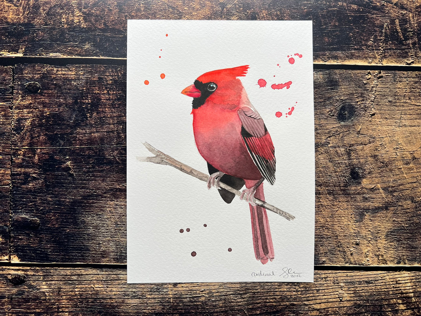 Cardinal watercolour painting - side view - A5