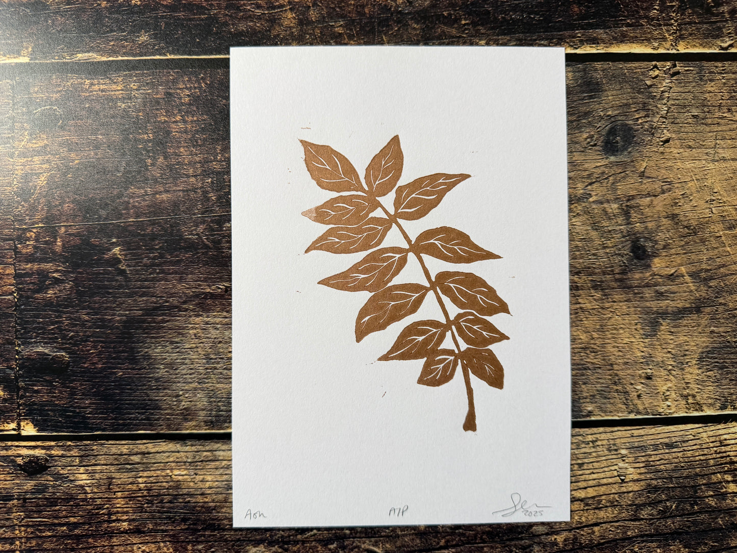 An A5 lino print of an ash tree stem, printed in copper ink