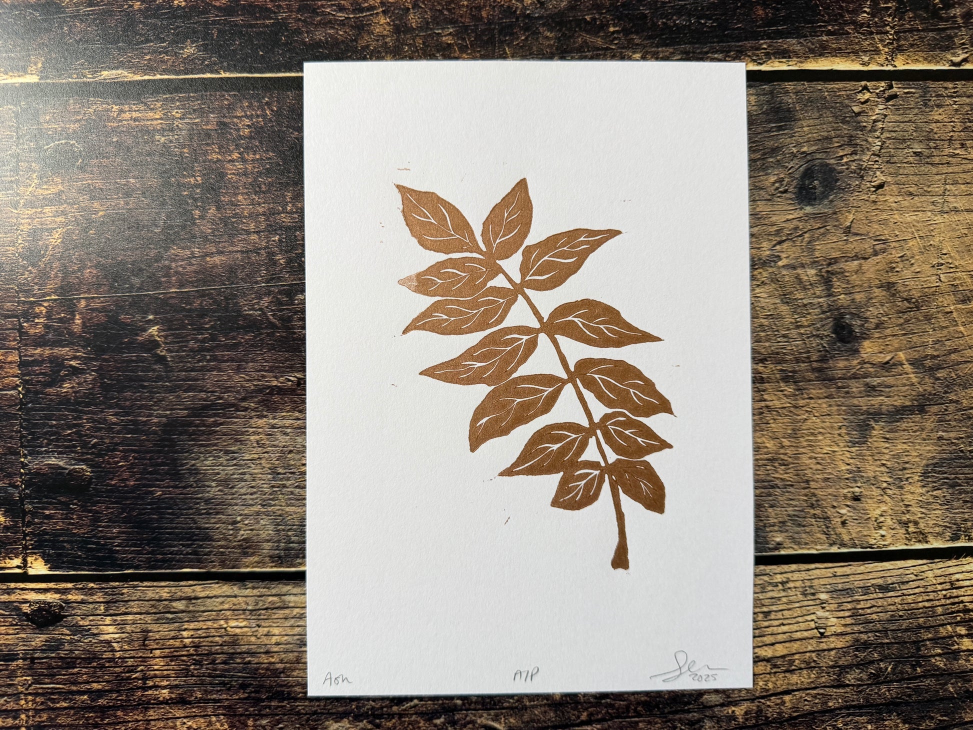 An A5 lino print of an ash tree stem, printed in copper ink
