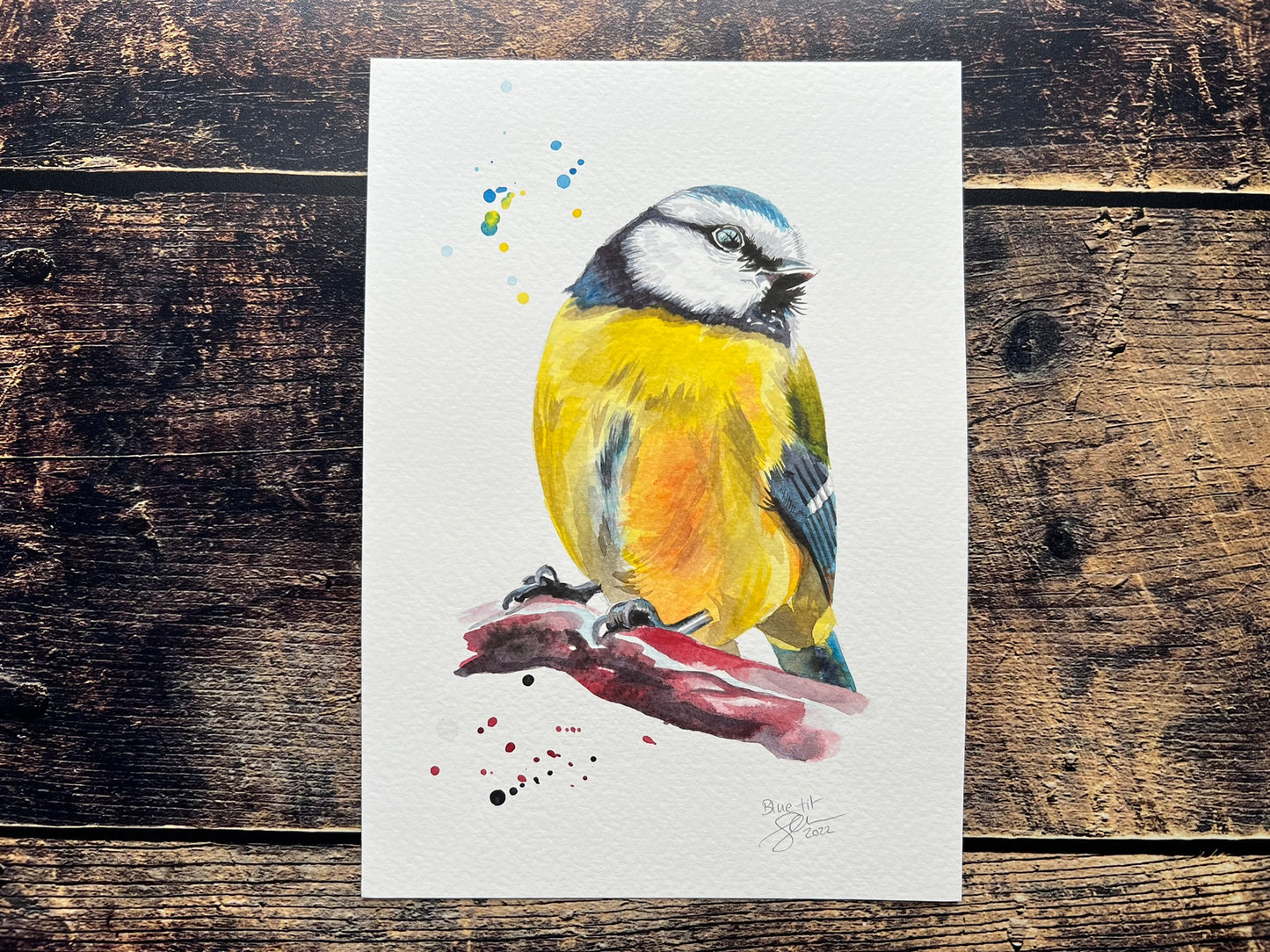 Blue tit watercolour painting - A5