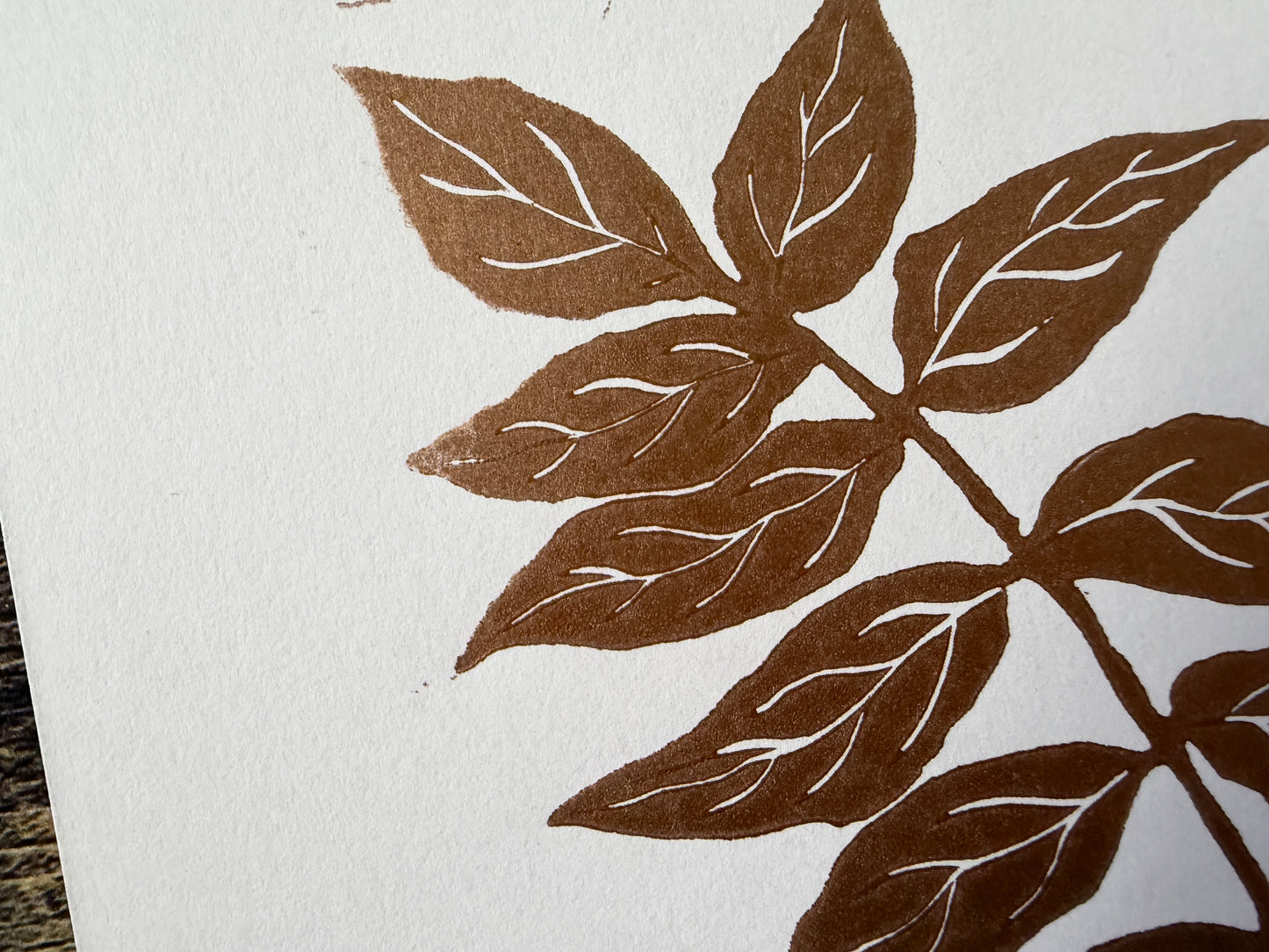 An A5 lino print of an ash tree stem, printed in copper ink