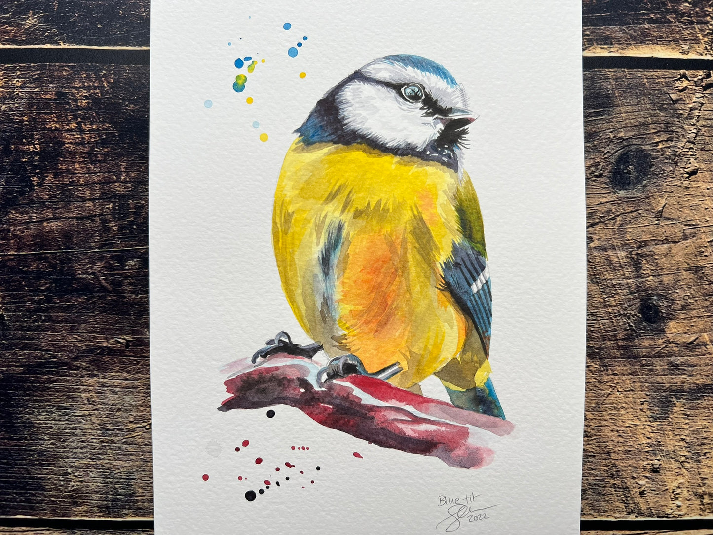 Blue tit watercolour painting - A5