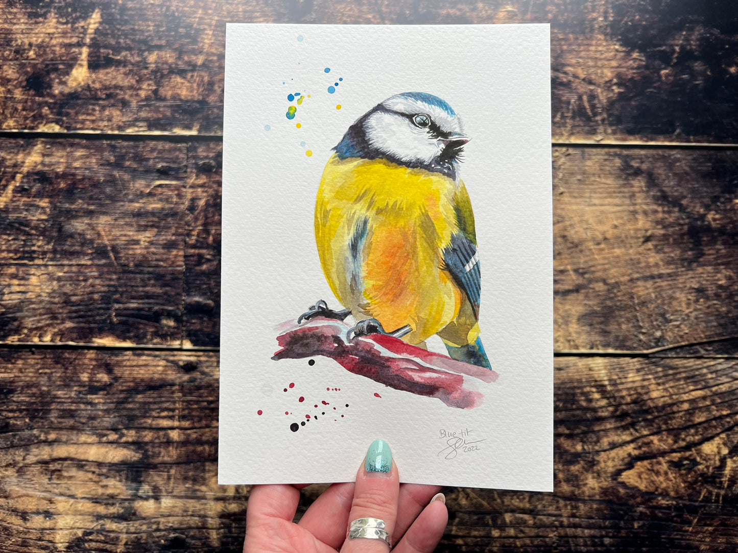 Blue tit watercolour painting - A5