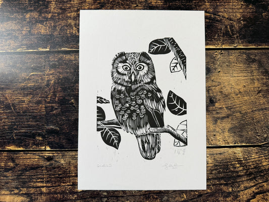 An A4 lino print in black & white of an owl on a tree.