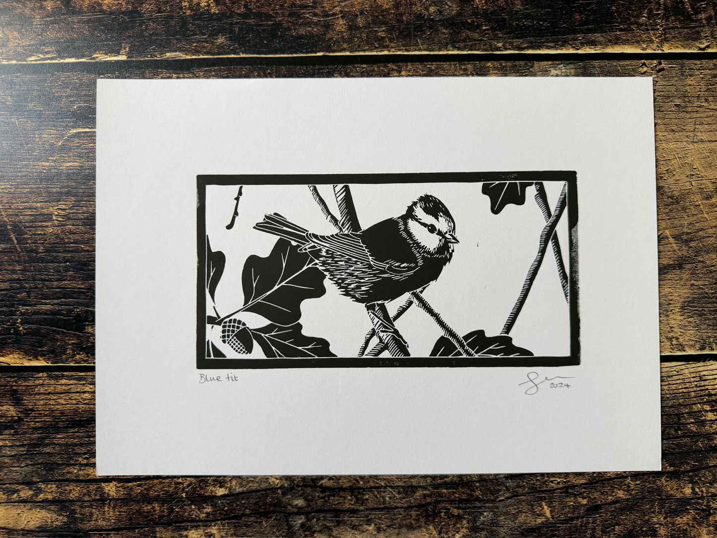 A photo of an A4 lino print of a blue tit in an oak tree