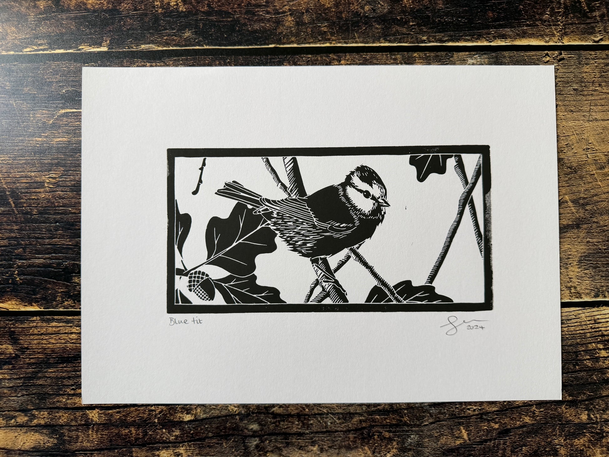 A photo of an A4 lino print of a blue tit in an oak tree