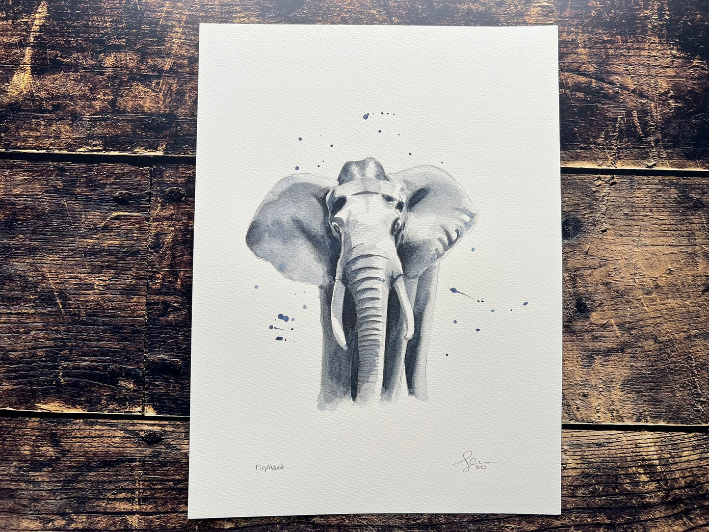 Elephant watercolour painting