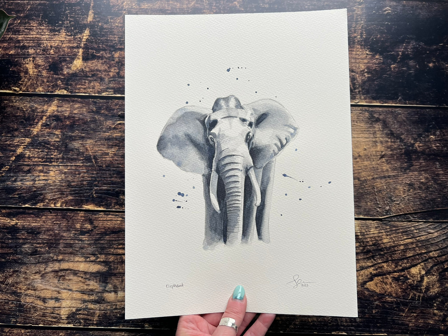 Elephant watercolour painting