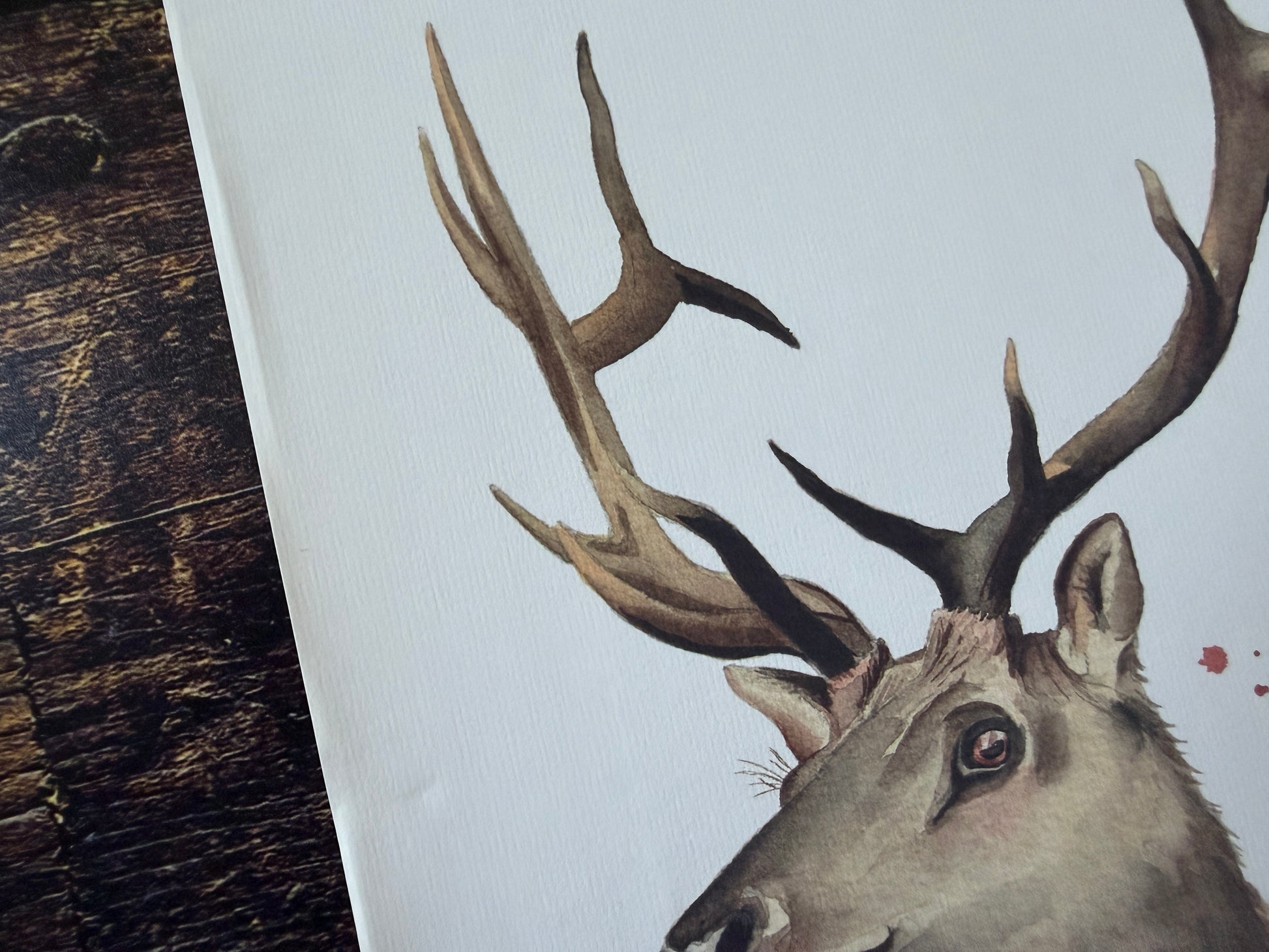 A close up of the creasing on the paper