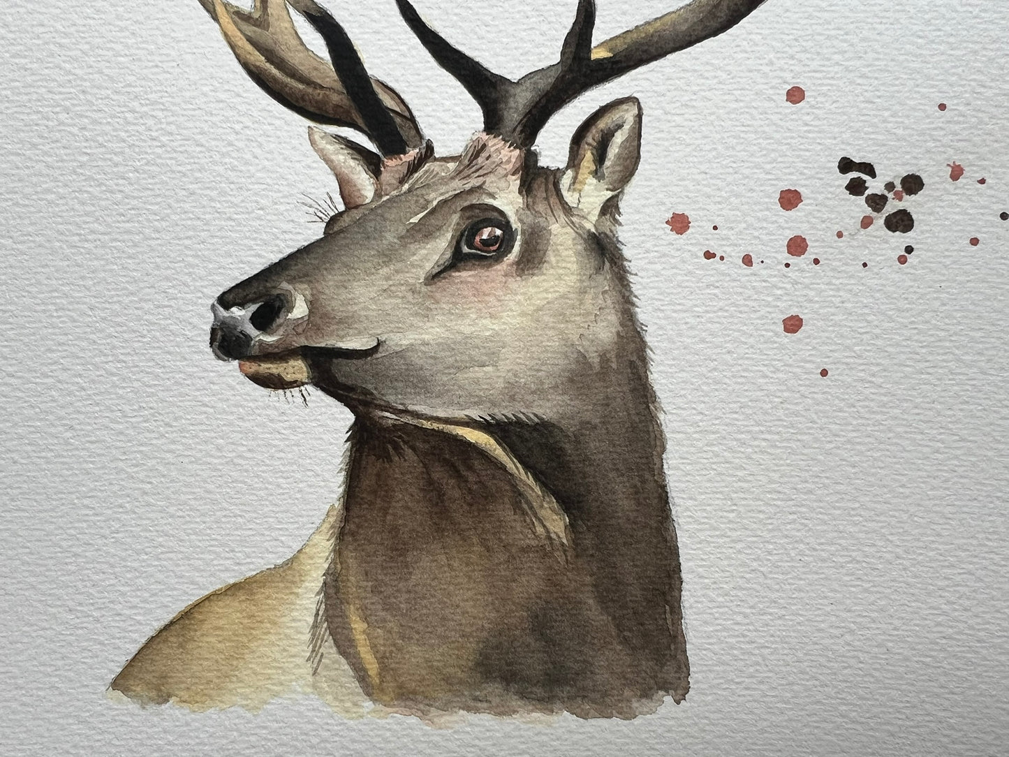 Stag watercolour painting