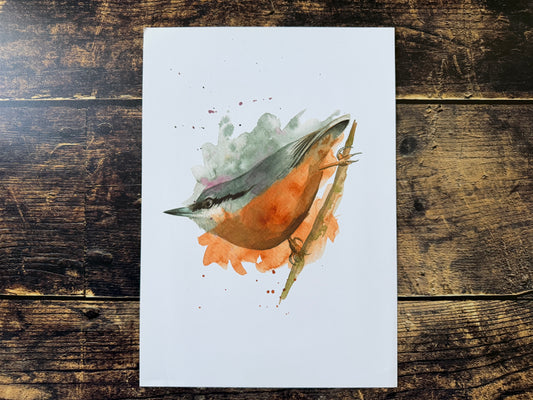 An A4 watercolour print of an expressively painted nuthatch